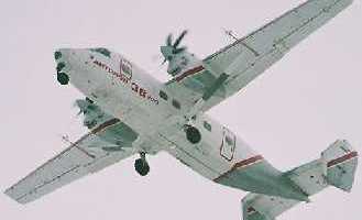 AN38 image