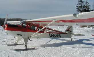 TF19 image