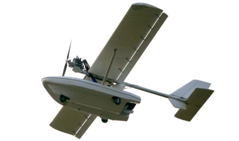 FLY SYNTHESIS Catalina CTLN aircraft photograph