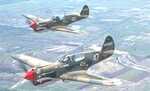 P40 thumb image